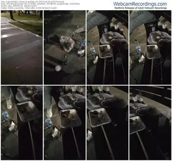 cam4-pollen_07-04-20-2024-20-27-43