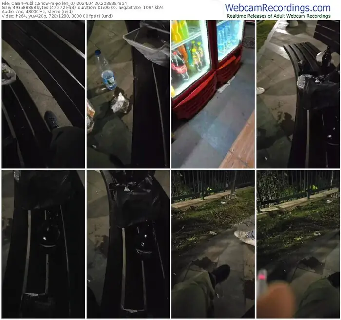 cam4-pollen_07-04-20-2024-20-36-36