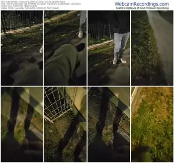 cam4-pollen_07-04-20-2024-21-40-50