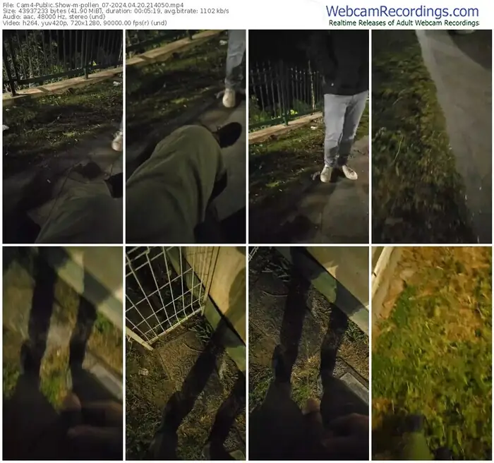 cam4-pollen_07-04-20-2024-21-40-50