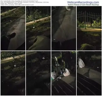 cam4-pollen_07-04-20-2024-21-54-27