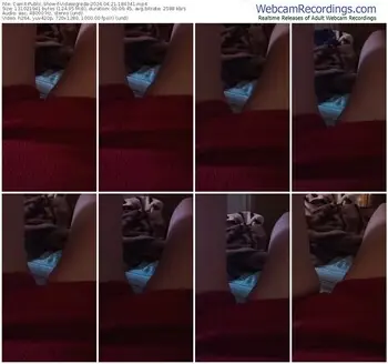 cam4-vidasegreda-04-21-2024-18-43-41