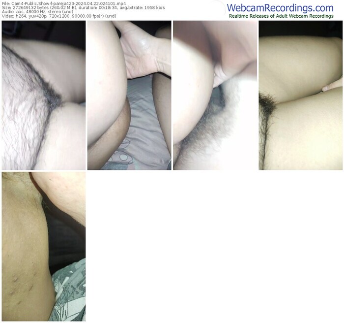 cam4-pareja423-04-22-2024-02-41-01