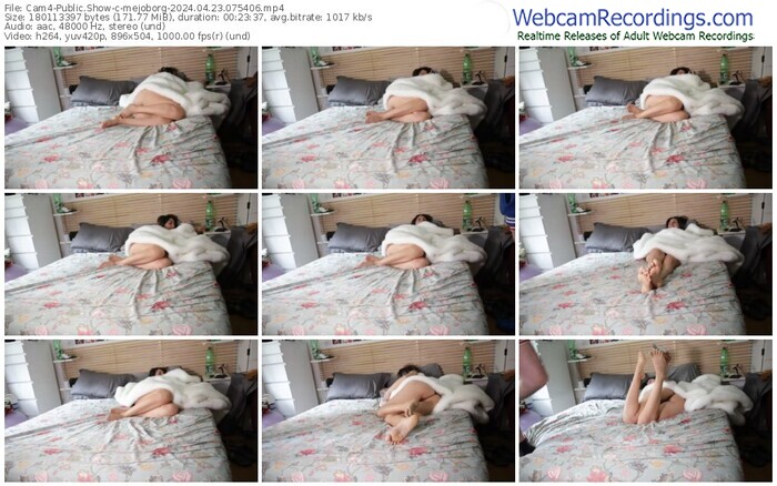 cam4-mejoborg-04-23-2024-07-54-06