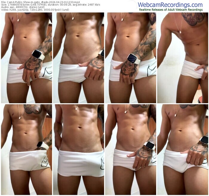 cam4-gato_dtado-04-23-2024-01-12-33