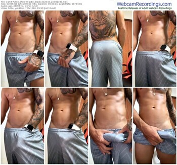 cam4-gato_dtado-04-23-2024-02-13-43