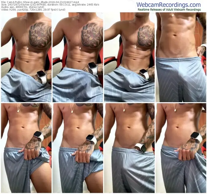 cam4-gato_dtado-04-23-2024-02-44-27