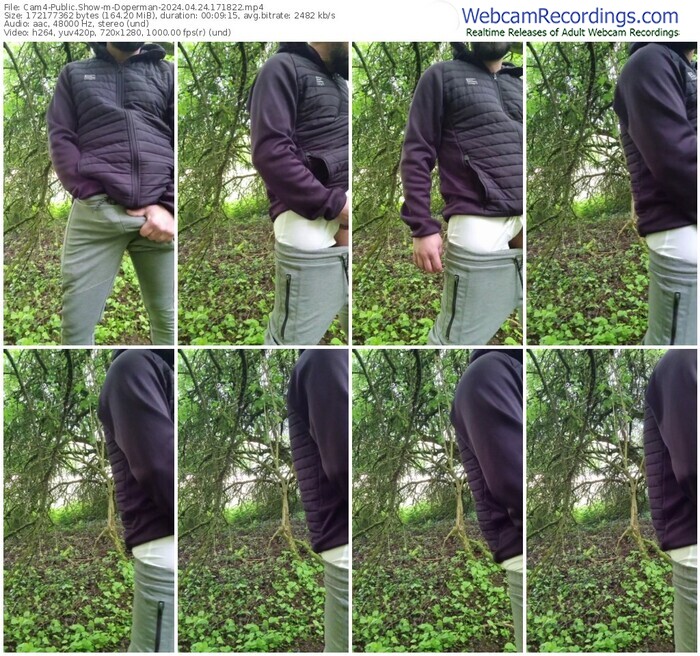 cam4-doperman-04-24-2024-17-18-22