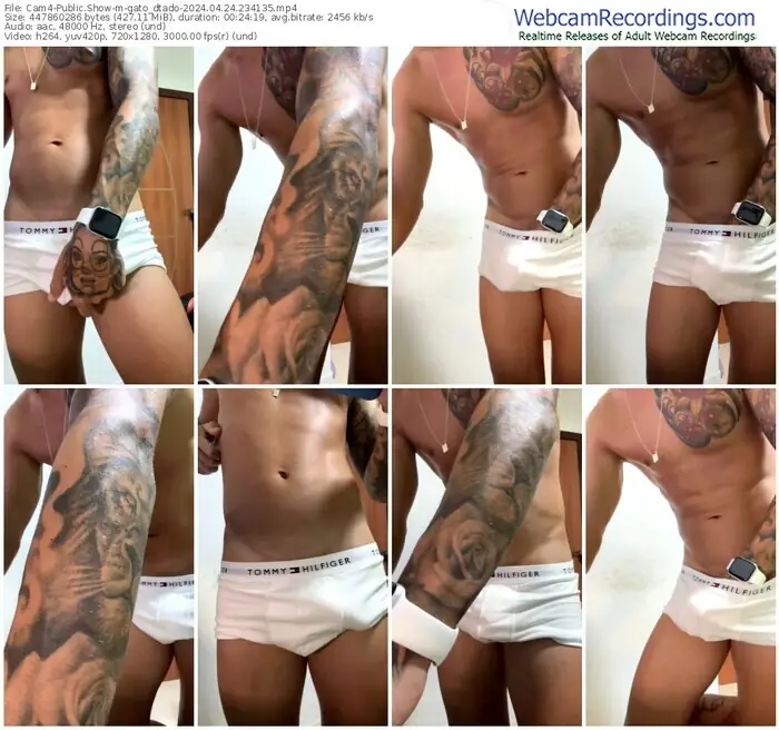 cam4-gato_dtado-04-24-2024-23-41-35