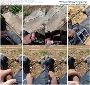 cam4-osopajas2-04-24-2024-13-39-53