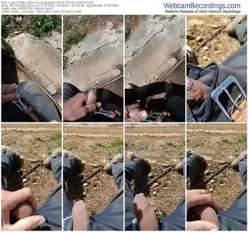 cam4-osopajas2-04-24-2024-13-39-53