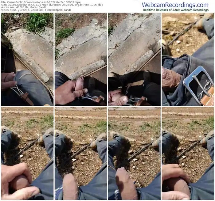 cam4-osopajas2-04-24-2024-13-39-53