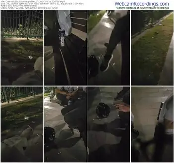 cam4-pollen_07-04-24-2024-20-07-36