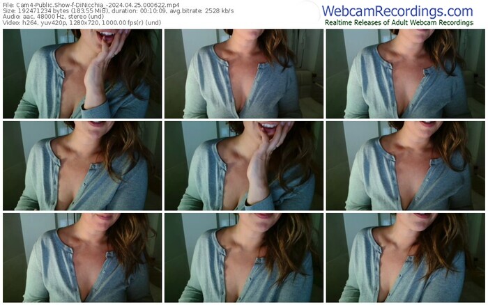 cam4-dinicchia_-04-25-2024-00-06-22