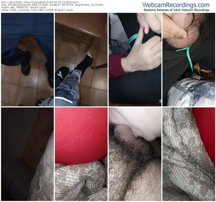 cam4-gretagd4-04-25-2024-11-28-39