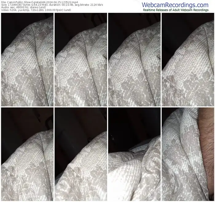 cam4-gretagd4-04-25-2024-12-35-22