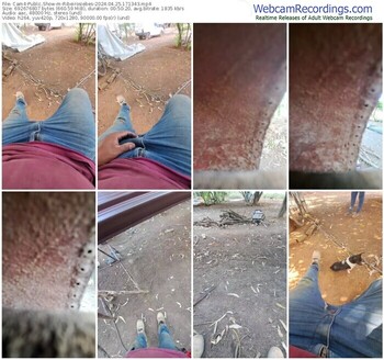 cam4-ribeirosiebes-04-25-2024-17-13-43