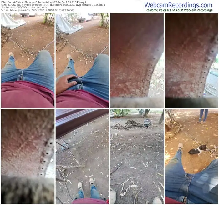 cam4-ribeirosiebes-04-25-2024-17-13-43
