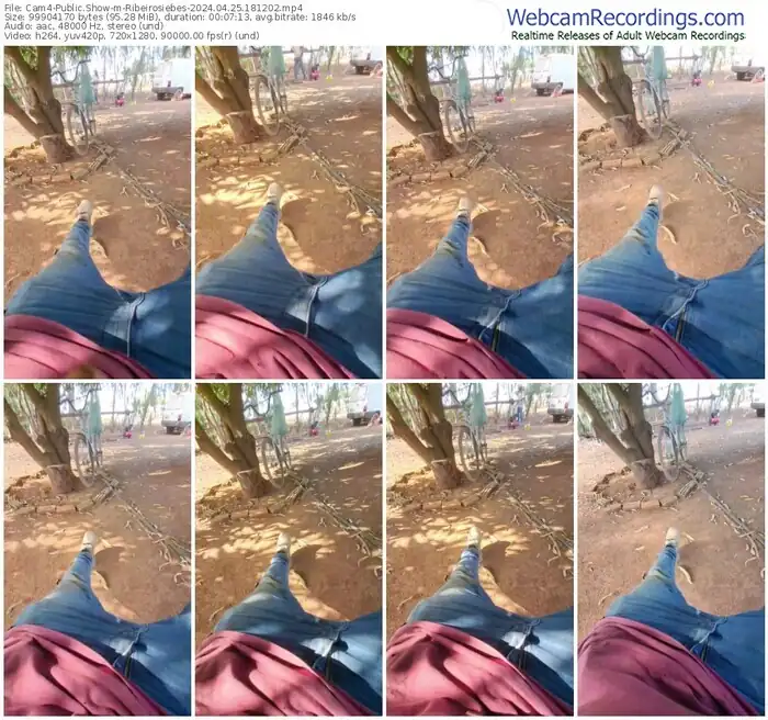 cam4-ribeirosiebes-04-25-2024-18-12-02