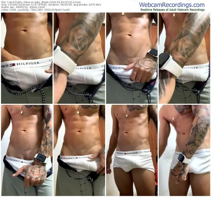 cam4-gato_dtado-04-25-2024-02-13-12