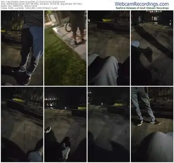 cam4-pollen_07-04-26-2024-18-32-29