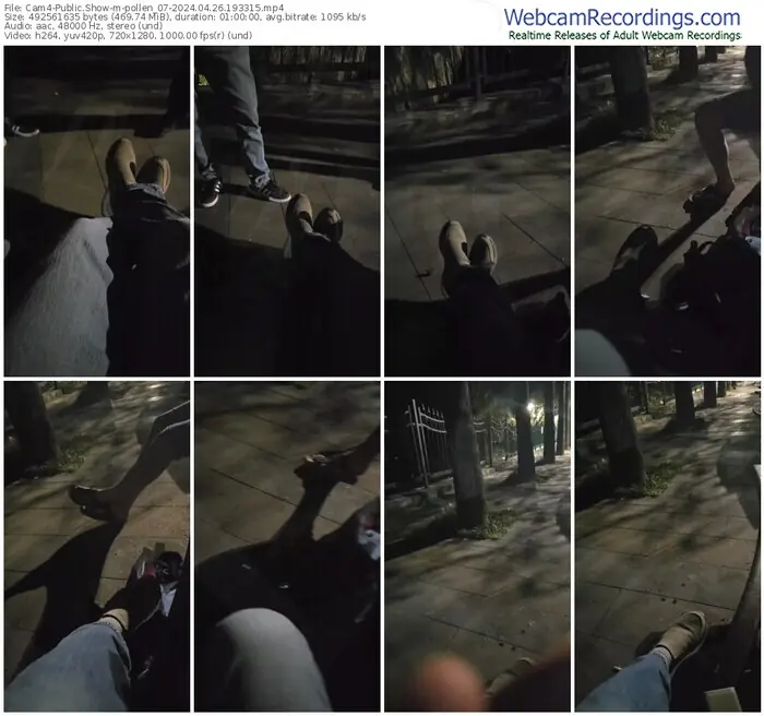 cam4-pollen_07-04-26-2024-19-33-15