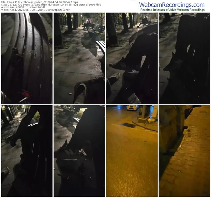 cam4-pollen_07-04-26-2024-20-34-47
