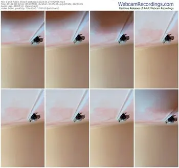 cam4-gretagd4-04-27-2024-07-29-56