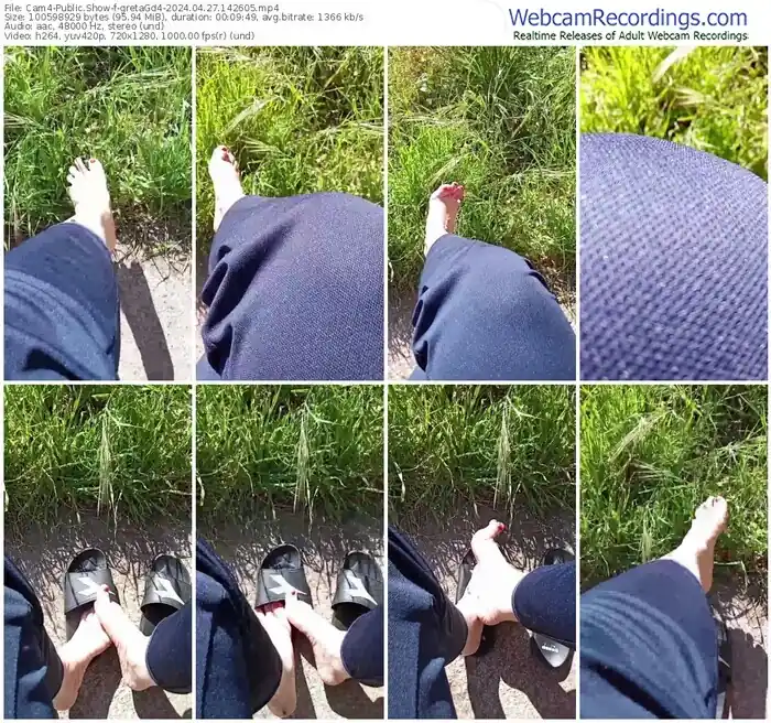 cam4-gretagd4-04-27-2024-14-26-05