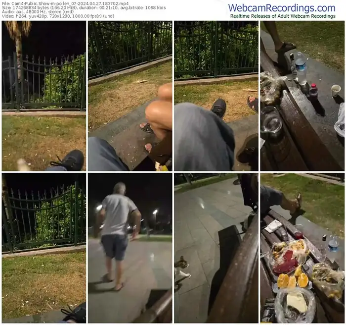 cam4-pollen_07-04-27-2024-18-37-02