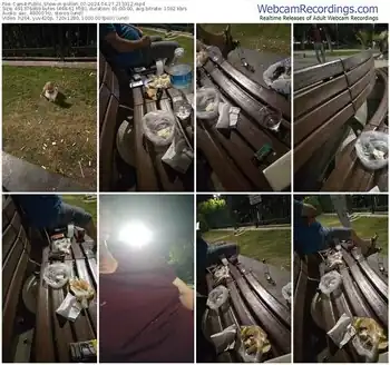 cam4-pollen_07-04-27-2024-21-33-12