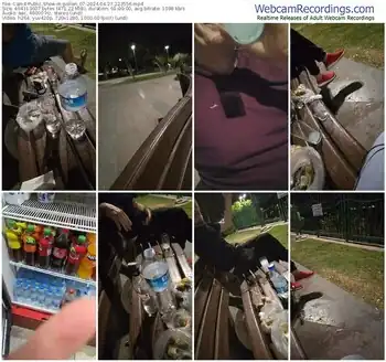 cam4-pollen_07-04-27-2024-22-35-56