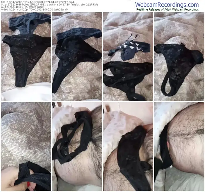 cam4-gretagd4-04-28-2024-12-22-12