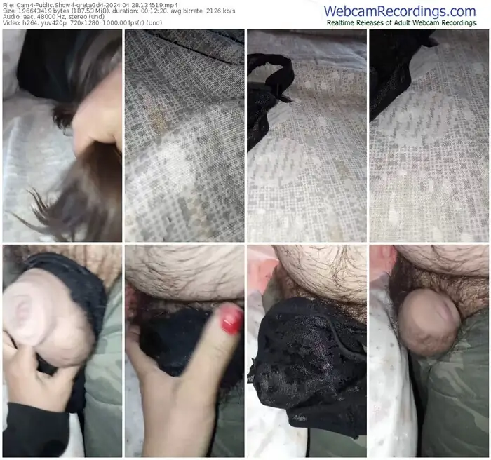 cam4-gretagd4-04-28-2024-13-45-19