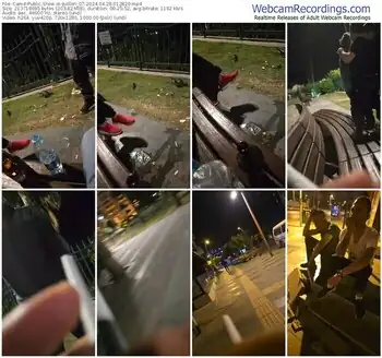 cam4-pollen_07-04-28-2024-01-28-20