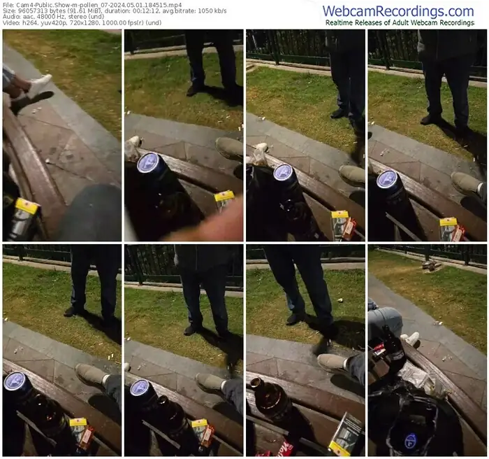 cam4-pollen_07-05-01-2024-18-45-15