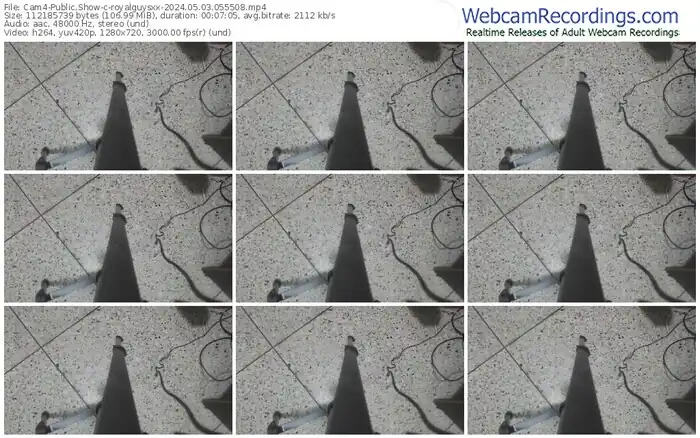cam4-royalguysxx-05-03-2024-05-55-08