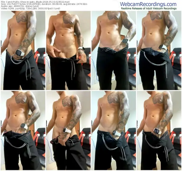 cam4-gato_dtado-05-10-2024-02-35-32