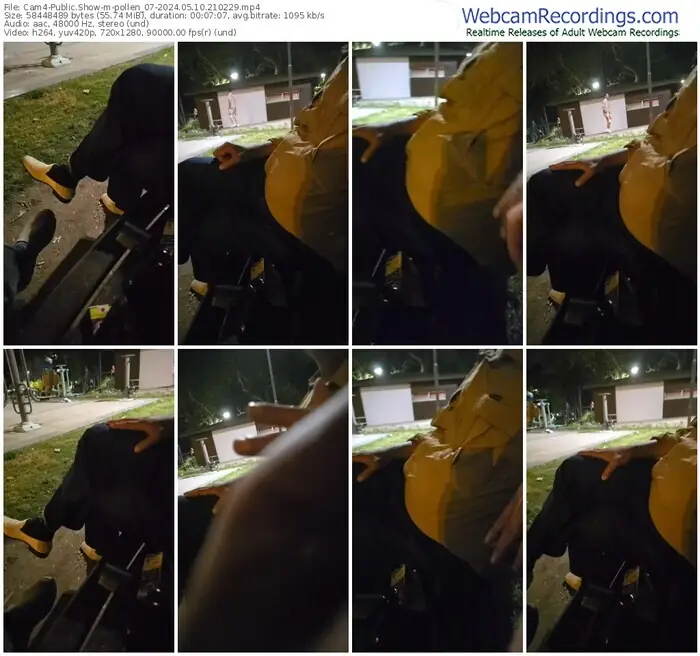 cam4-pollen_07-05-10-2024-21-02-29