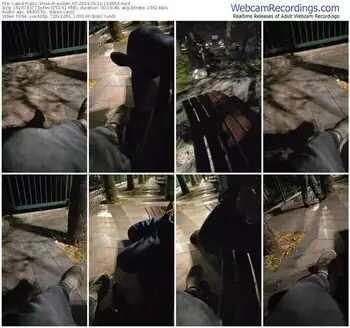 cam4-pollen_07-05-11-2024-19-28-54