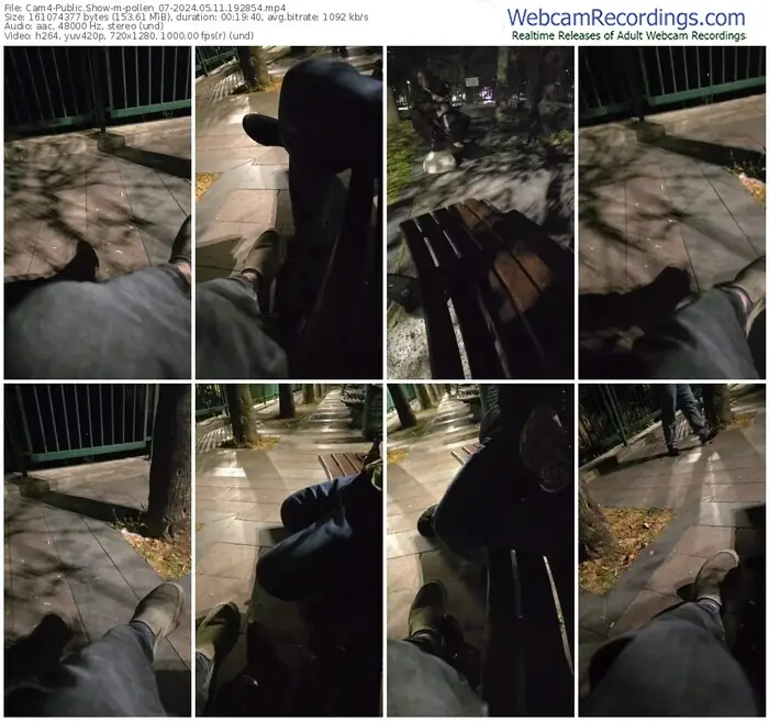 cam4-pollen_07-05-11-2024-19-28-54