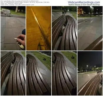 cam4-pollen_07-05-11-2024-20-52-23