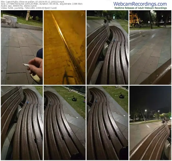 cam4-pollen_07-05-11-2024-20-52-23