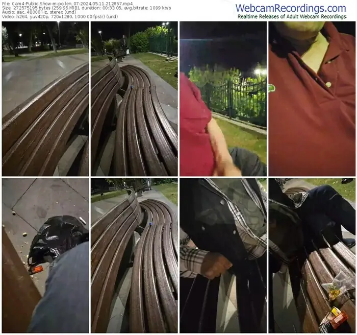 cam4-pollen_07-05-11-2024-21-28-57