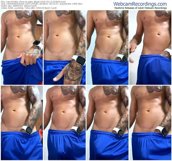 cam4-gato_dtado-05-13-2024-23-30-30