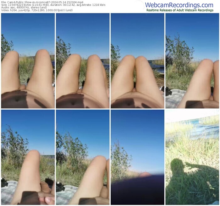 cam4-niconice87-05-14-2024-15-23-04