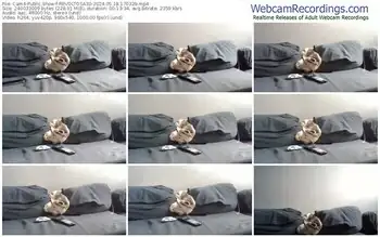 cam4-revoltosa30-05-18-2024-17-03-29