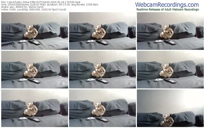 cam4-revoltosa30-05-18-2024-17-03-29