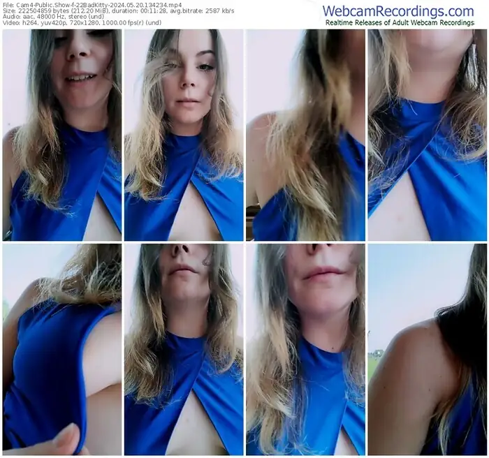 cam4-22badkitty-05-20-2024-13-42-34