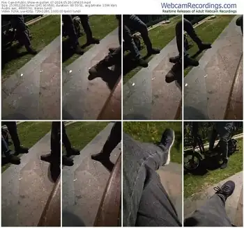 cam4-pollen_07-05-20-2024-18-56-33